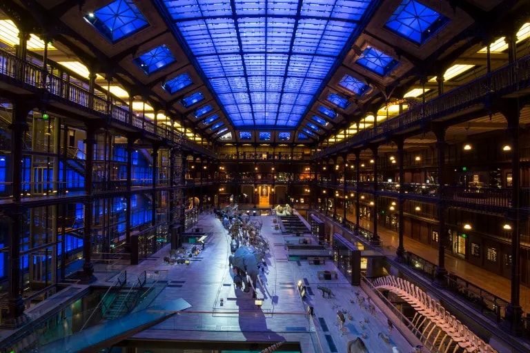 Amadeus Installs Massive Custom Designed Speaker System for French National Museum of Natural Histor